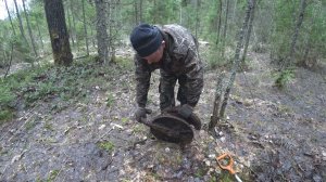 НАМ ПОВЕЗЛО! В ДЕЛЯНКЕ НАС ЖДАЛИ ХОРОШИЕ УВЕСИСТЫЕ ТРАКТОРНЫЕ ЗАПЧАСТИ!