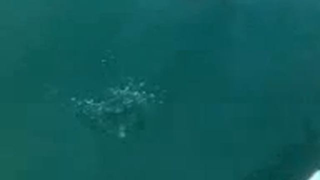 Алушта отдых на катере "Мечта"