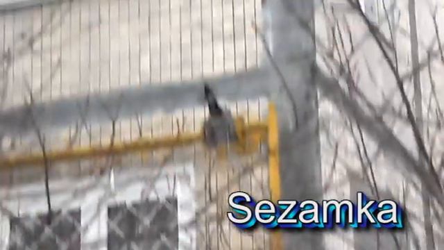 Дом № 7А Юности ул Днепровский район Улицы Киева смотреть онлайн