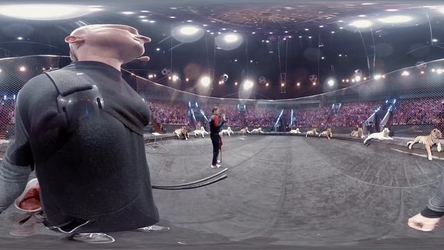 Глядя в пасть: изнанка дрессировки хищников в репортаже 360 смотреть онлайн