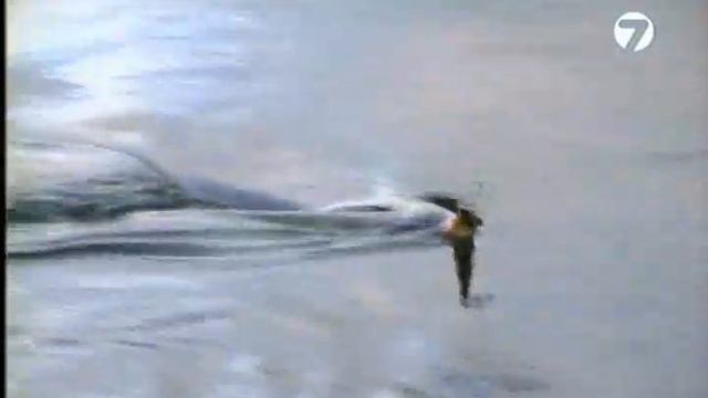 Диалоги о рыбалке №27 Сибирь Таймень смотреть онлайн