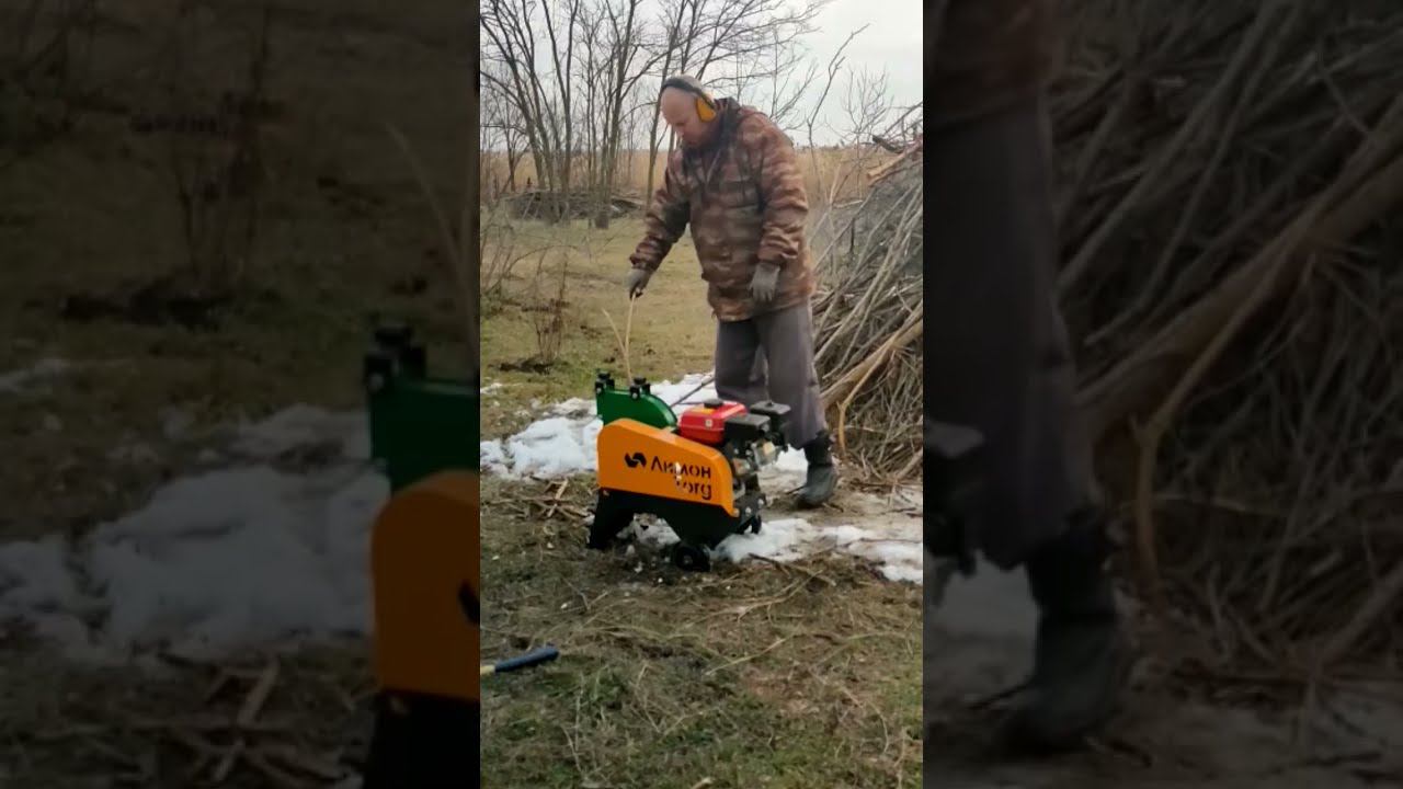 бензиновый веткоизмельчитель Лимон торг
