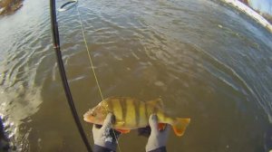 Здесь водятся горбачи и клюют на спиннинг. Место для ловли весеннего окуня в Двуреченске на Исети