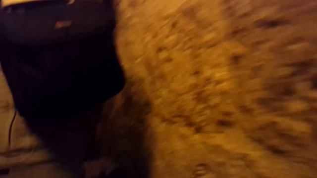 Баку #1 Девичья башня Гуляем по внутреннему городу Место где снимали Брильянтовая рука смотреть онлайн