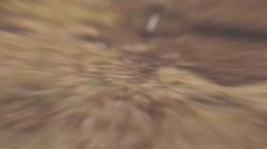 Встретил Антона с канала Макс Ващенко