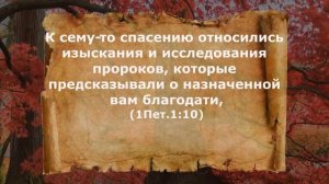 Библия. Разбор Слова. Новый завет. 1послание Петра 1 глава. Святость. Жить верой.