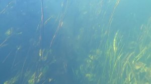 Сплав по реке Хопер  (3 часть)  34 ДНЯ одиночного плавания