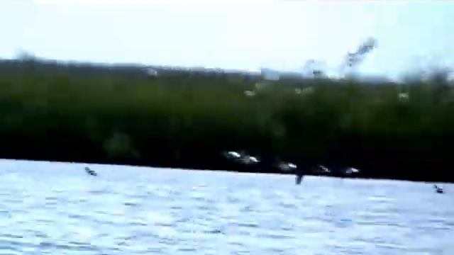 Англичане на рыбалке в Украине!!! смотреть онлайн