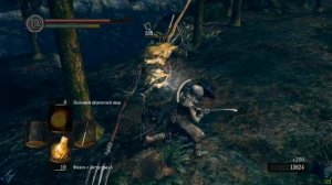 Прохождение Dark Souls - часть 20.1 DLS Королевский Лес