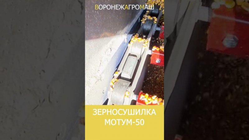 Зерносушилка конвейерная Мотум 50 I ВоронежАгромаш