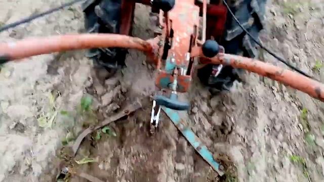 Обработка междурядий тыквы самодельно драполкой смотреть онлайн