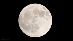 Nikon P1000 - ZOOMING EVERY MOON PHASE!