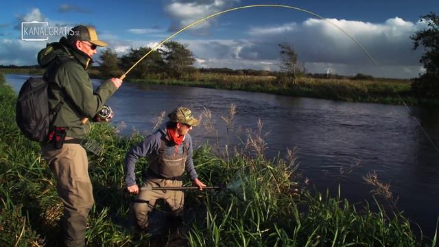 FLY TV - Small River Salmon in Denmark (double handed fly fishing)