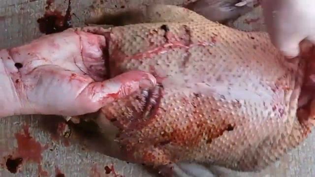 Забой уток мулордов! смотреть онлайн