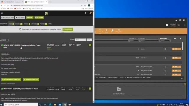 OCBPC for Fallout 4【導入】 смотреть онлайн