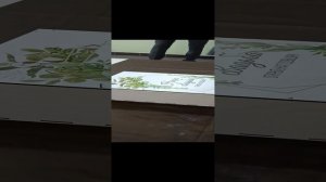 Капсула времени на свадьбе!
20.07.2024г.