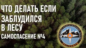 Как быть если заблудился в лесу. Самоспасение. Спасательный отряд Экстремум