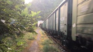 Электровоз ВЛ8 - 1162 с грузовым составом. Перегон Псоу - Сухум, Абхазия