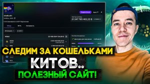 Следим за кошельками КИТОВ | Покупаем токены на быстрый ПАМП