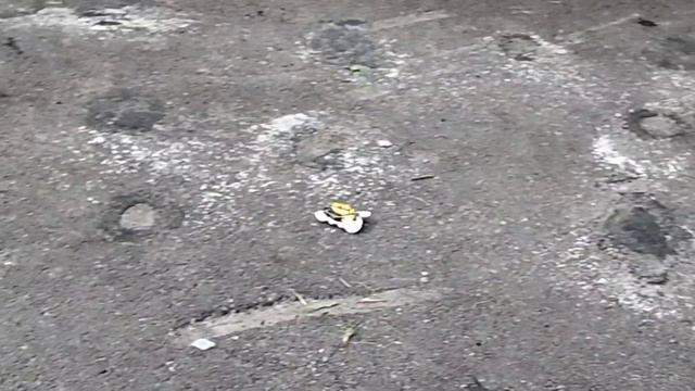 страдаем ФИГНЁЙ 24 ЧАСА ! шашки по жизни смотреть онлайн