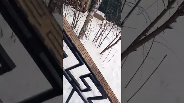 Перила для лестницы из металла смотреть онлайн