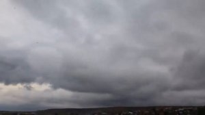 Просто вороны летают.