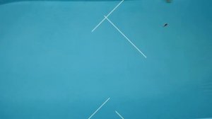 TROUT HUNTER MEDIATOR