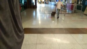 Анкара.Аэропорт. Иду в самолёт, мама улетела?А дома все выпечкой пахнет. ТурцияХатай