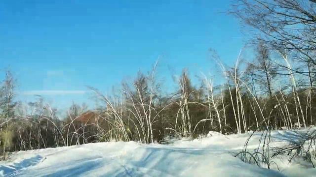 снежная колея/ох и трудно в деревне у нас/база отдыха