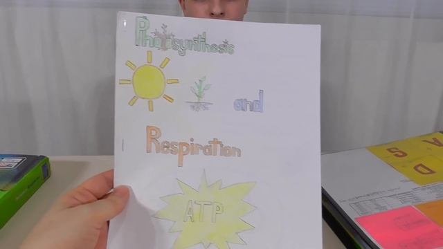 АМЕРИКАНСКИЕ ШКОЛЫ  7 класс Что и как изучают/ Домашнее обучение в США Home School/ Школы США