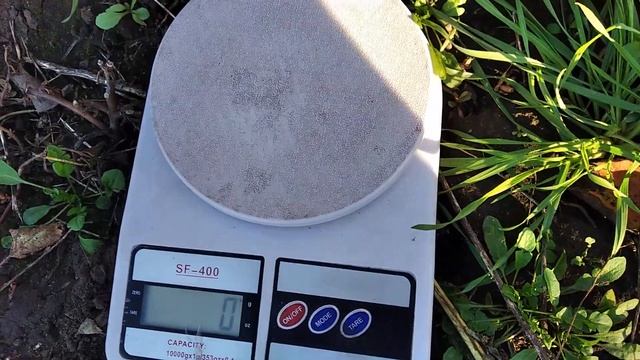 Яблуні Мутсу та Мутсу НК. смотреть онлайн