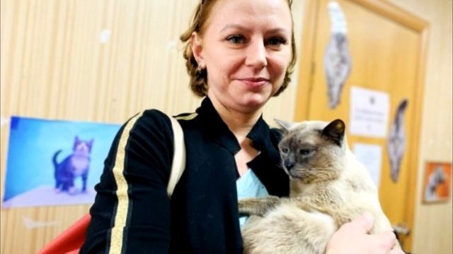 У приюта выкинули кота, который не мог ходить! Ветеринары не могли поверить своим глазам смотреть онлайн