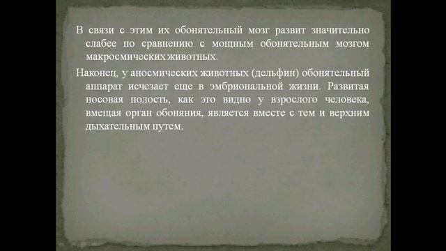 Орган обоняния. Обонятельный анализатор. Презентация. Скачать.