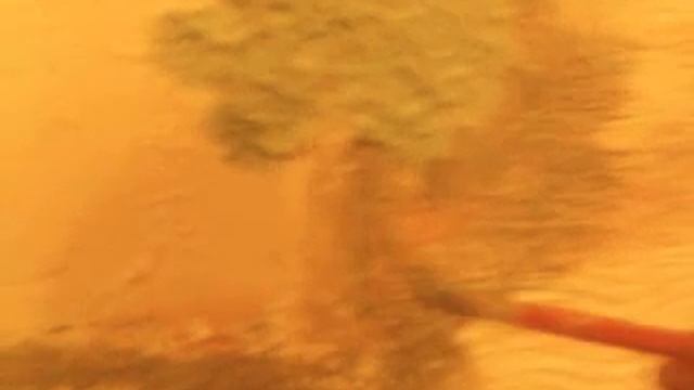 Покраска декоративной штукатурки рисунок дерева смотреть онлайн