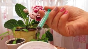 Как разводить АГАТ 25К