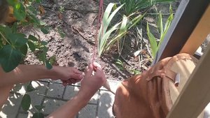 КУЗНЕЧНЫЙ ГОРН И МЕХА СВОИМИ РУКАМИ!САМОДЕЛЬНОЕ КОВАНОЕ СВЕРЛО!