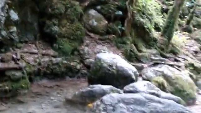 (1) Абхазия .Гагрипшское ущелье ( сентябрь 2016)  (1)