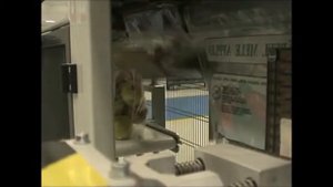 Упаковщик яблок в полиэтиленовые пакеты Sorma BFA-132