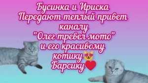 ❤️ Спасибо каналу "Олег тревел мото" за поддержку 🤗