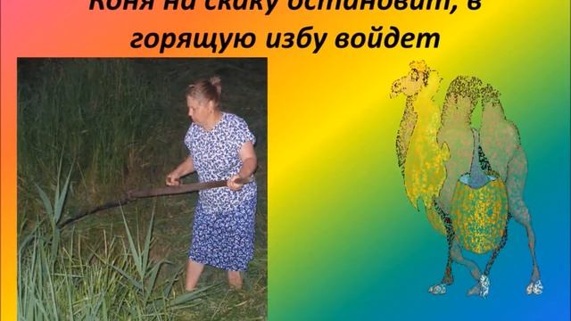 ПУСТЬ ВСЕ ЦВЕТЫ У НОГ ВАШИХ ПАДУТ... смотреть онлайн