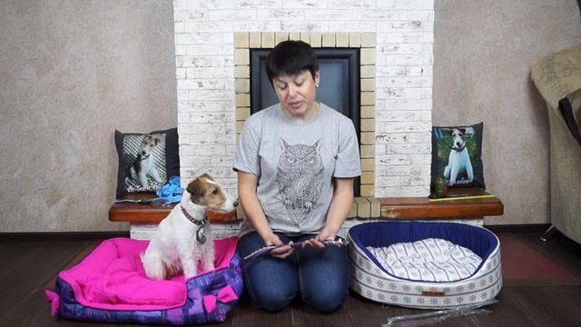 НОВЫЕ ЛЕЖАНКИ ДЛЯ СОБАК//ЛЕЖАНКА СВОИМИ РУКАМИ смотреть онлайн