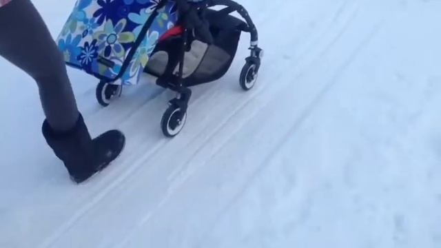 Winter is coming. Bugaboo bee 3 Бишка