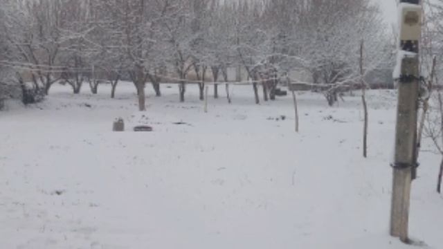 4-5-6-MART OB-XAVO DIQAT SHOSHILINCH XABAR TAYYOR TURING смотреть онлайн