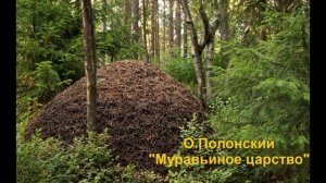 О. Полонский "Муравьиное царство"