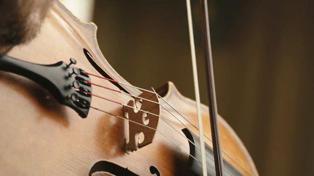 Atilla Aldemir | Bach: Sonaten und Partiten, BWV1001-1006 arr. für Viola смотреть онлайн