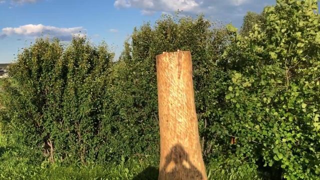 Сделал крышу для колоды из того что нашёл на опушке леса #пчелы #пчеловодство #колода #ловляроев