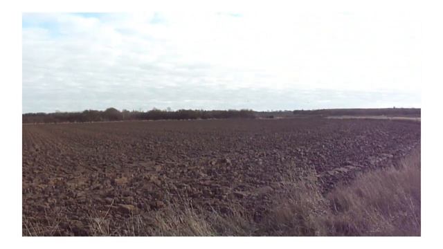 Using an old digital camera to document 2023 (Sony Cybershot DSC-H70) смотреть онлайн