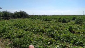 Как разместить правильно и выставить диагональ для будущей теплицы.