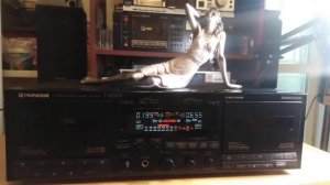 Pioneer T-555WR