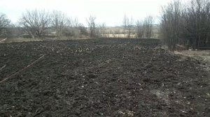 Домашний хлеб и наши дрессированные гуси. Домашній хліб та наші гуси.